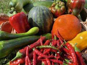 Fruits et légumes du potager de l'ESAT AGECET